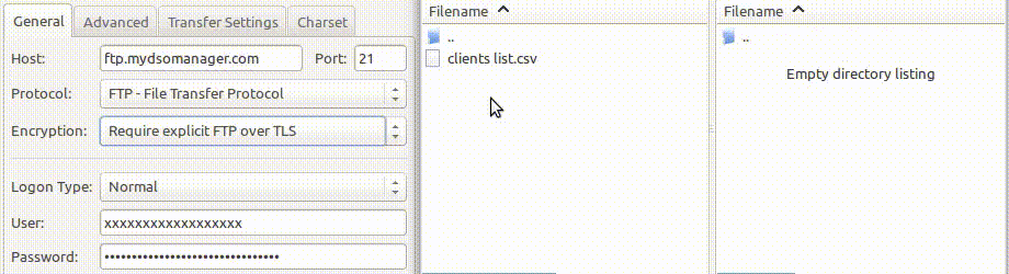 Filezilla preview to import CSV files