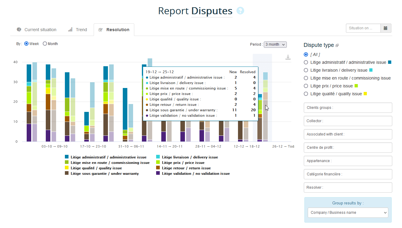 Dynamic dispute report